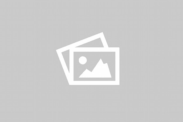 No image found No image found